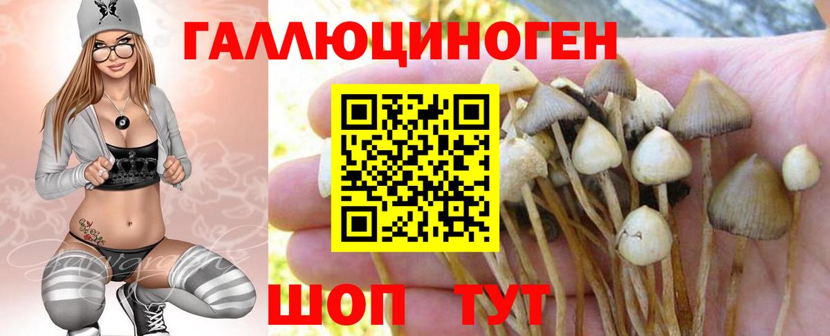 Галлюциногенные грибы мицелий  Вход с VPN  Златоуст  Галлюциногенные грибы Cubensis 